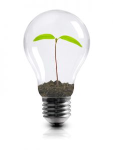 light bulb with plant